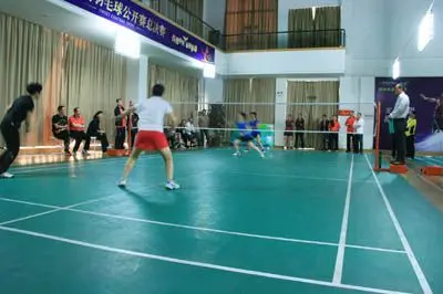 将不仅是 将不仅是